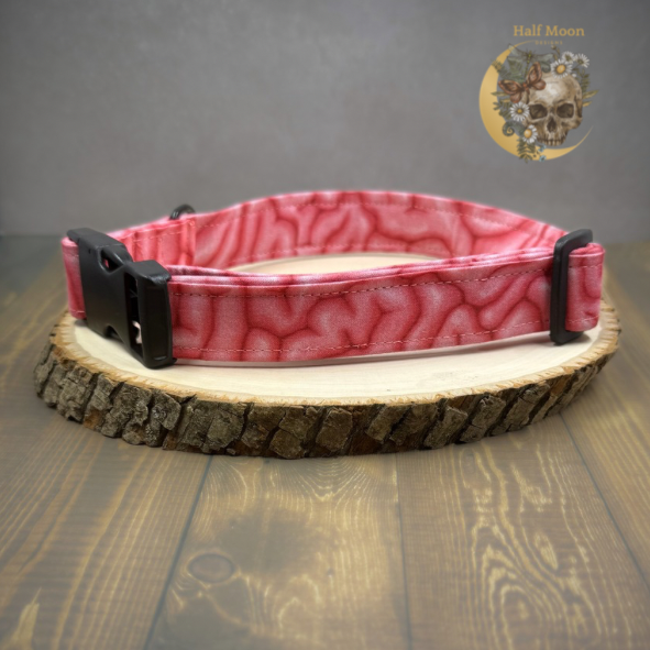 Zombies love Brainsssssss Collar